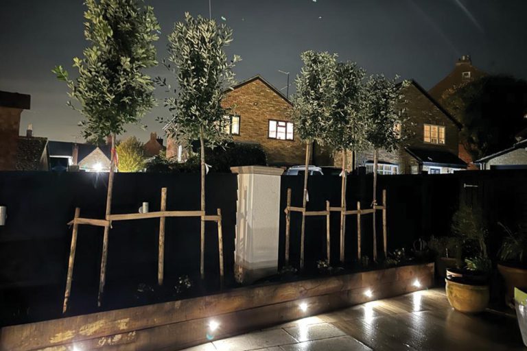 Wards Builders & Developers Ltd - Landscaping - Ampthill - 40